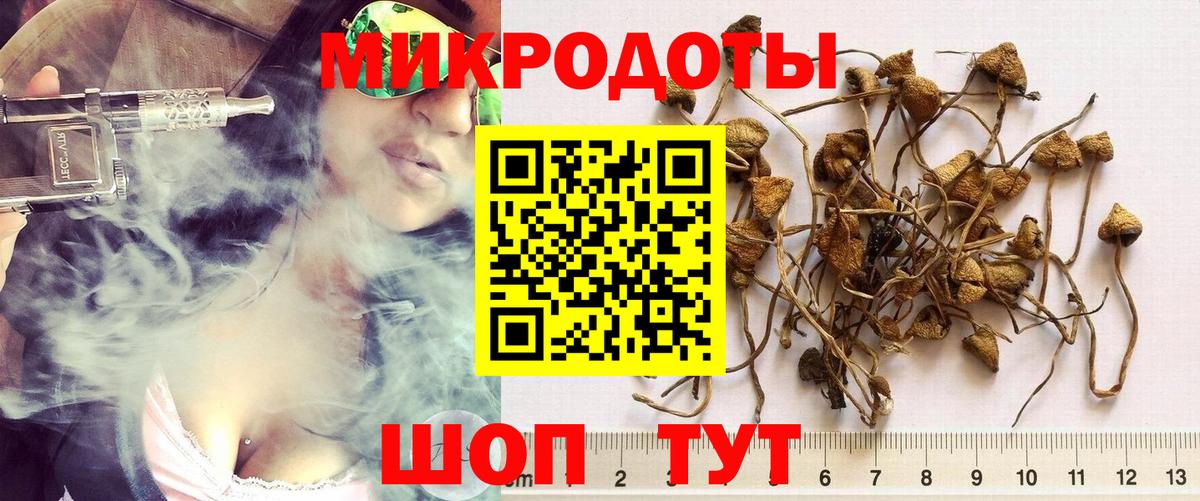 Псилоцибиновые грибы мухоморы Медногорск